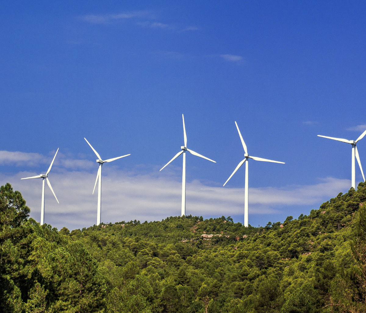 Investment in renewable energy industry